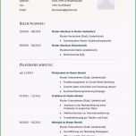 Einzahl Lebenslauf Muster Für Vertrieb