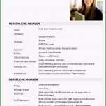 Einzahl Lebenslauf Vorlage Frau