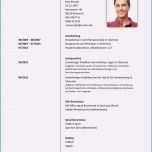 Einzahl Lebenslauf Vorlage Praktikum Schüler Neu 8 Bewerbung