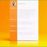 Einzahl Lebenslauf Vorlagen Zum Download Mit Anschreiben &amp; Deckblatt