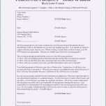 Einzahl Letter Intent Vorlage