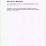 Einzahl Management Review Vorlage 54 Lovely Management Review