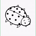 Einzahl Marienkäfer Ausmalbild Kostenlos