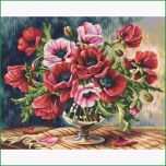 Einzahl Mohnblumen Malen Nach Zahlen Schipper 29 49