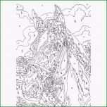 Einzahl Pferdekopf Malen Nach Zahlen Klein Mammut 8 89