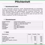 Einzahl Pflichtenheft