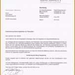 Einzahl Pompon Vorlage Zum Ausdrucken Frisch Pompon Vorlage Zum