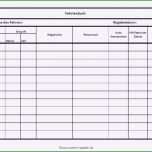 Einzahl Regiebericht Vorlage