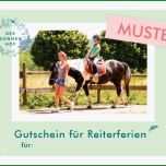 Einzahl Reiterferien &amp; Ferienbetreuung