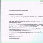 Einzahl Selbstauskunft Mieter Vorlage