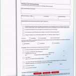 Einzahl Spendenbescheinigungen Kostenlos Steuerformulare