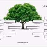 Einzahl Stammbaum Vorlage Woher Stammt Meine Familie