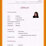 Einzahl Steckbrief Erzieherin Kindergarten Vorlage 19 Steckbrief