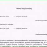 Einzahl Unterlassungserklärung Muster Download