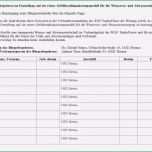 Einzahl Unterschriften Sammeln Vorlage – Download Vorlagen