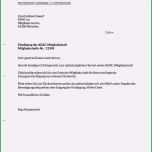 Einzahl Vodafone Kundigung Vorlage Zum Ausdrucken Papacfo