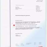 Einzahl Vorlage Agb Lineshop Probe Vereinbarung Weg