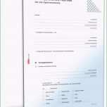 Einzahl Vorlage Anschreiben Bewerbung Schön Neues Bewerbung Als