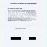 Einzahl Vorlage Lebenslauf Part 12