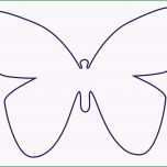 Einzahl Vorlage Stern Groß Erstaunlich Schmetterling Vorlage Ideen