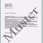 Einzahl Vorlage Testament Word Fabelhaft 9 Berliner Testament