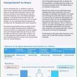 Einzahl Vorlage Zur Dokumentation Der Tglichen Arbeitszeit Datev