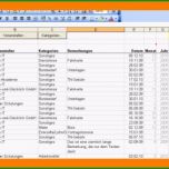 Erstaunlich 10 Einnahmen Ausgaben Rechnung Vorlage Excel Cathedral