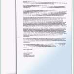 Erstaunlich 11 1 Zahlungserinnerung Vorlage