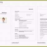 Erstaunlich 11 Professionelle Bewerbung Vorlage