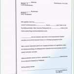 Erstaunlich 12 Steuerbescheid Muster