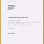 Erstaunlich 13 Kündigungsschreiben Strom Muster