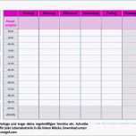 Erstaunlich 13 Wochenplan Excel Vorlage