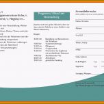 Erstaunlich 14 Flyer Vorlage Word