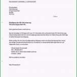 Erstaunlich 14 Kündigung Lebensversicherung Vorlage