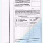 Erstaunlich 15 Schulischer Lebenslauf Muster