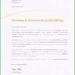 Erstaunlich 17 Lebenslauf Hausfrau Und Mutter Muster