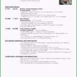 Erstaunlich 18 Lebenslauf Ingenieur Vorlage