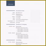 Erstaunlich 19 Muster Lebenslauf 2016