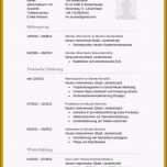 Erstaunlich 19 Tabellarischer Lebenslauf Muster 2015