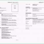 Erstaunlich 20 Chronologischer Lebenslauf Muster