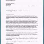 Erstaunlich 20 Dm Bewerbung Vorlage