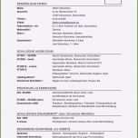 Erstaunlich 20 Lebenslauf Latex Vorlage