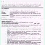 Erstaunlich 20 Motivationsschreiben Muster Pflege Ravella Hotel