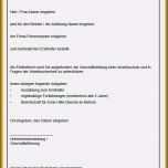 Erstaunlich 24 Genial Bestellung Brandschutzbeauftragter Vorlage Doc