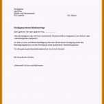 Erstaunlich 7 Kündigung Mitarbeiter Vorlage