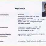 Erstaunlich 8 Vorlage Lebenslauf Praktikum