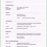 Erstaunlich 9 Bewerbungsschreiben Vorlage Kostenlos Word