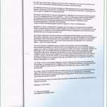 Erstaunlich Arbeitszeugnis Führungskraft Sehr Gut Zum Download