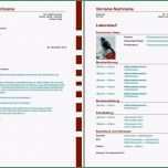 Erstaunlich Ausgezeichnet Lebenslauf Vorlage Biz Ausgezeichnet