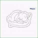 Erstaunlich Bär Vorlage